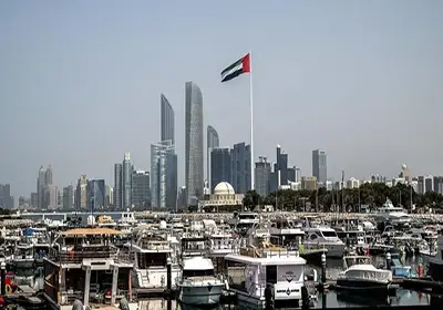 لماذا توترت علاقات الإمارات مع بعض الدول العربية؟